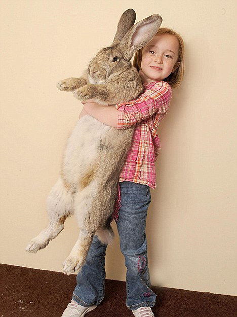 Girl-holding-giant-bunny