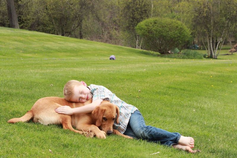 A Love Affair:  a Boy and his Dog